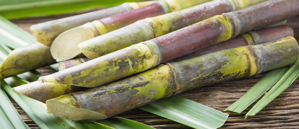 Natural Cane Sugar Over Artificial Sweeteners - Euroky Vitality Drink